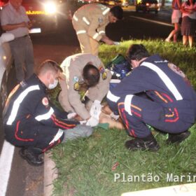 Idoso de 71 anos é socorrido com ferimentos graves após ser atropelado em Maringá Foto 18 Fotos de Idoso de 71 anos é socorrido com ferimentos graves após ser atropelado em Maringá