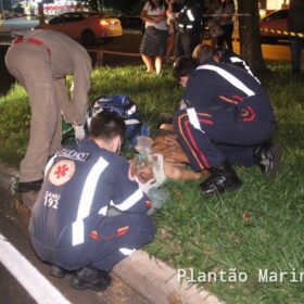 Idoso de 71 anos é socorrido com ferimentos graves após ser atropelado em Maringá Foto 19 Fotos de Idoso de 71 anos é socorrido com ferimentos graves após ser atropelado em Maringá