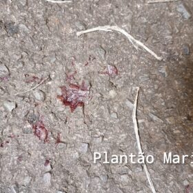 Jovem é socorrido com ferimentos graves após ser esfaqueado em Maringá, e namorada aponta ex dela como suspeito Foto 7 Fotos de Jovem é socorrido com ferimentos graves após ser esfaqueado em Maringá, e namorada aponta ex dela como suspeito