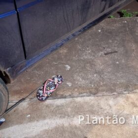 Motorista embriagado, com a CNH vencida invade calçada, atropela e mata criança autista de 13 anos em Sarandi Foto 14 Fotos de Motorista embriagado, com a CNH vencida invade calçada, atropela e mata criança autista de 13 anos em Sarandi