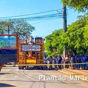 Mulher é socorrida de helicóptero após ter pernas esmagadas por carreta Foto 4 Fotos de Mulher é socorrida de helicóptero após ter pernas esmagadas por carreta
