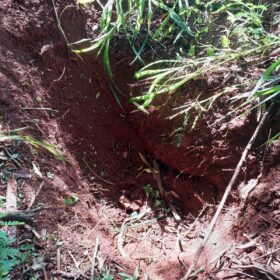 Polícia Civil divulga foto de suspeito que tentou matar e enterrar homem em Sarandi Foto 34 Fotos de Polícia Civil divulga foto de suspeito que tentou matar e enterrar homem em Sarandi