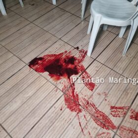 Três pessoas são baleadas enquanto jogava baralho em festa clandestina em Sarandi Foto 8 Fotos de Três pessoas são baleadas enquanto jogava baralho em festa clandestina em Sarandi