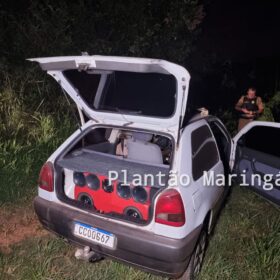 Bandidos usam máscaras de La casa de papel para roubar veículo em Maringá Foto 5 Fotos de Bandidos usam máscaras de La casa de papel para roubar veículo em Maringá
