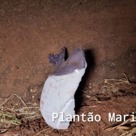 Buraco na rodovia provoca morte de adolescente de 17 anos, em Maringá Foto 5 Fotos de Buraco na rodovia provoca morte de adolescente de 17 anos, em Maringá