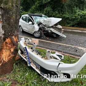 Carro fica com a frente destruída após motorista bater em árvore em Maringá Foto 12 Fotos de Carro fica com a frente destruída após motorista bater em árvore em Maringá