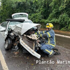 Carro fica com a frente destruída após motorista bater em árvore em Maringá Foto 14 Fotos de Carro fica com a frente destruída após motorista bater em árvore em Maringá