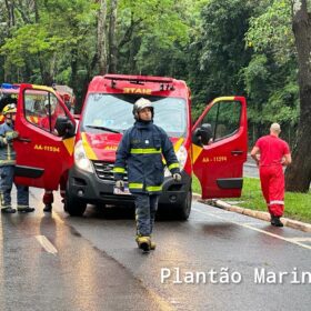 Carro fica com a frente destruída após motorista bater em árvore em Maringá Foto 5 Fotos de Carro fica com a frente destruída após motorista bater em árvore em Maringá