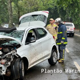 Carro fica com a frente destruída após motorista bater em árvore em Maringá Foto 8 Fotos de Carro fica com a frente destruída após motorista bater em árvore em Maringá