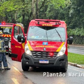 Carro fica com a frente destruída após motorista bater em árvore em Maringá Foto 10 Fotos de Carro fica com a frente destruída após motorista bater em árvore em Maringá