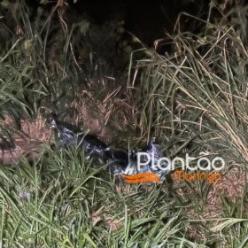 Homem morre ao ser ejetado de carro após capotamento Foto 7 Fotos de Homem morre ao ser ejetado de carro após capotamento