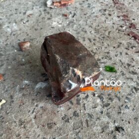 Jovem é brutalmente assassinado com pedradas na cabeça em Sarandi Foto 15 Fotos de Jovem é brutalmente assassinado com pedradas na cabeça em Sarandi