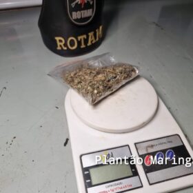 Rotam prende trio com carro roubado, droga, e simulacro de pistola em Maringá Foto 5 Fotos de Rotam prende trio com carro roubado, droga, e simulacro de pistola em Maringá