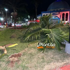 Carro 'voa', após motorista discutir com a mãe e joga veículo contra praça em Maringá Foto 14 Fotos de Carro 'voa', após motorista discutir com a mãe e joga veículo contra praça em Maringá