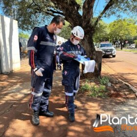 Pintores são intoxicados por tinta dentro de caixa d'água em Maringá Foto 11 Fotos de Pintores são intoxicados por tinta dentro de caixa d'água em Maringá