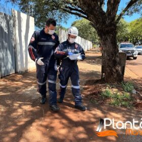 Pintores são intoxicados por tinta dentro de caixa d'água em Maringá Foto 14 Fotos de Pintores são intoxicados por tinta dentro de caixa d'água em Maringá