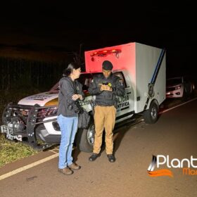 Trabalhador é morto com três tiros ao retornar para casa Foto 9 Fotos de Trabalhador é morto com três tiros ao retornar para casa