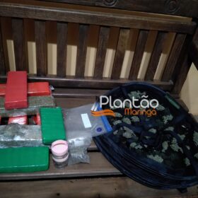 Traficante que produzia a própria droga é preso pela Rocam de Maringá Foto 12 Fotos de Traficante que produzia a própria droga é preso pela Rocam de Maringá