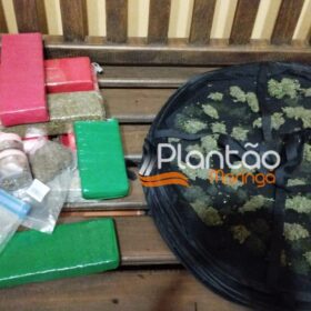 Traficante que produzia a própria droga é preso pela Rocam de Maringá Foto 5 Fotos de Traficante que produzia a própria droga é preso pela Rocam de Maringá