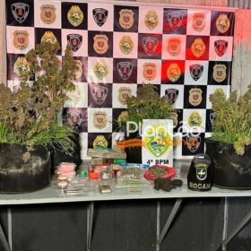 Traficante que produzia a própria droga é preso pela Rocam de Maringá Foto 7 Fotos de Traficante que produzia a própria droga é preso pela Rocam de Maringá