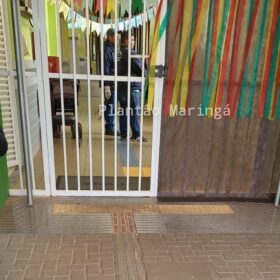 Bebê de um ano é picada por escorpião amarelo dentro de CMEI em Maringá Foto 2 Fotos de Bebê de um ano é picada por escorpião amarelo dentro de CMEI em Maringá
