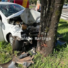 Carro bate em árvore e deixa duas pessoas feridas em Maringá Foto 2 Fotos de Carro bate em árvore e deixa duas pessoas feridas em Maringá