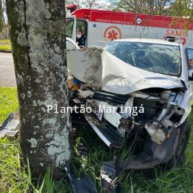 Carro bate em árvore e deixa duas pessoas feridas em Maringá Foto 3 Fotos de Carro bate em árvore e deixa duas pessoas feridas em Maringá