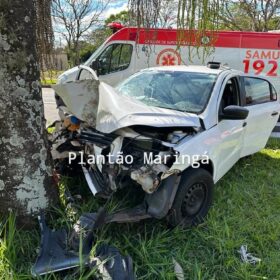 Carro bate em árvore e deixa duas pessoas feridas em Maringá Foto 5 Fotos de Carro bate em árvore e deixa duas pessoas feridas em Maringá