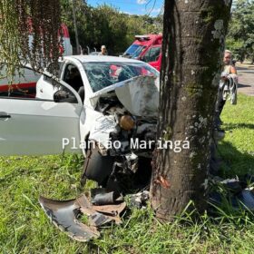 Carro bate em árvore e deixa duas pessoas feridas em Maringá Foto 6 Fotos de Carro bate em árvore e deixa duas pessoas feridas em Maringá