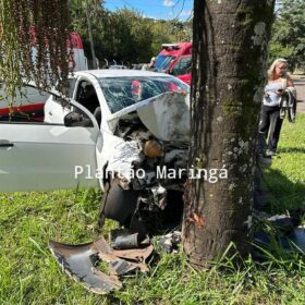 Carro bate em árvore e deixa duas pessoas feridas em Maringá Foto 8 Fotos de Carro bate em árvore e deixa duas pessoas feridas em Maringá
