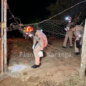 Ex-morador de Sarandi é morto e jogado dentro de poço em Mandaguari Foto 14 Fotos de Ex-morador de Sarandi é morto e jogado dentro de poço em Mandaguari