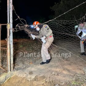 Ex-morador de Sarandi é morto e jogado dentro de poço em Mandaguari Foto 23 Fotos de Ex-morador de Sarandi é morto e jogado dentro de poço em Mandaguari
