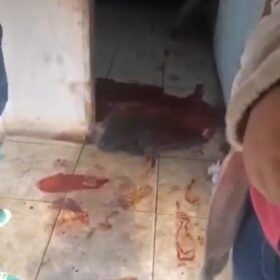 Homem é intubado e socorrido em estado grave após ser espancado dentro de casa em Maringá Foto 2 Fotos de Homem é intubado e socorrido em estado grave após ser espancado dentro de casa em Maringá