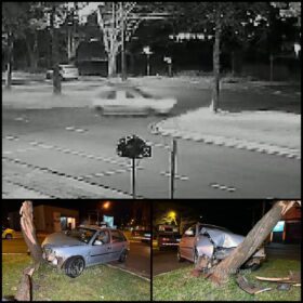 Motorista perde controle do carro e derruba árvore em Maringá; veja vídeo Foto 5 Fotos de Motorista perde controle do carro e derruba árvore em Maringá; veja vídeo