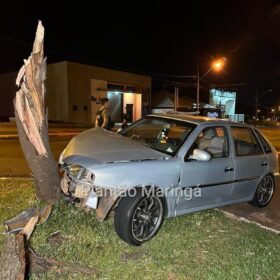 Motorista perde controle do carro e derruba árvore em Maringá; veja vídeo Foto 3 Fotos de Motorista perde controle do carro e derruba árvore em Maringá; veja vídeo