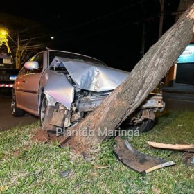 Motorista perde controle do carro e derruba árvore em Maringá; veja vídeo Foto 6 Fotos de Motorista perde controle do carro e derruba árvore em Maringá; veja vídeo