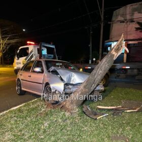 Motorista perde controle do carro e derruba árvore em Maringá; veja vídeo Foto 4 Fotos de Motorista perde controle do carro e derruba árvore em Maringá; veja vídeo