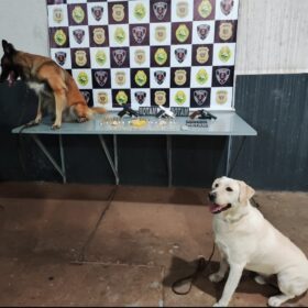 Irmãos gêmeos são presos com drogas e armas em Maringá Foto 5 Fotos de Irmãos gêmeos são presos com drogas e armas em Maringá