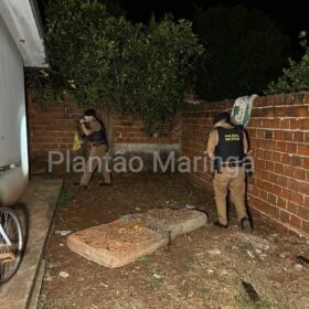 Mulher é atingida por três golpes de faca pelo ex-marido em Sarandi Foto 8 Fotos de Mulher é atingida por três golpes de faca pelo ex-marido em Sarandi