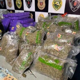 Rocam localiza distribuidora de drogas e apreende mais de meio milhão de reais em entorpecentes em Sarandi Foto 4 Fotos de Rocam localiza distribuidora de drogas e apreende mais de meio milhão de reais em entorpecentes em Sarandi