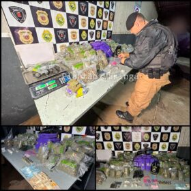 Rocam localiza distribuidora de drogas e apreende mais de meio milhão de reais em entorpecentes em Sarandi Foto 2 Fotos de Rocam localiza distribuidora de drogas e apreende mais de meio milhão de reais em entorpecentes em Sarandi