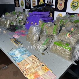 Rocam localiza distribuidora de drogas e apreende mais de meio milhão de reais em entorpecentes em Sarandi Foto 11 Fotos de Rocam localiza distribuidora de drogas e apreende mais de meio milhão de reais em entorpecentes em Sarandi