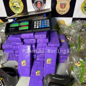 Rocam localiza distribuidora de drogas e apreende mais de meio milhão de reais em entorpecentes em Sarandi Foto 8 Fotos de Rocam localiza distribuidora de drogas e apreende mais de meio milhão de reais em entorpecentes em Sarandi
