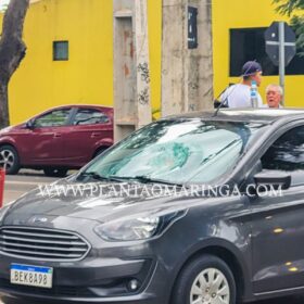 Fotos de Idoso de 85 anos atropelado ontem em Maringá, morre no hospital