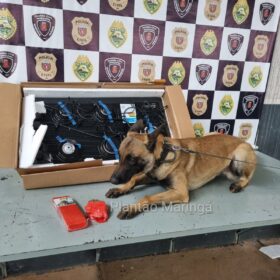 Choque Canil localiza drogas na casa de criminoso preso após confronto em Maringá Foto 25 Fotos de Choque Canil localiza drogas na casa de criminoso preso após confronto em Maringá