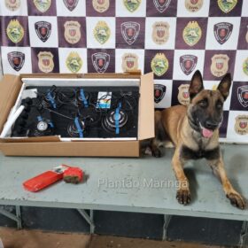 Choque Canil localiza drogas na casa de criminoso preso após confronto em Maringá Foto 26 Fotos de Choque Canil localiza drogas na casa de criminoso preso após confronto em Maringá