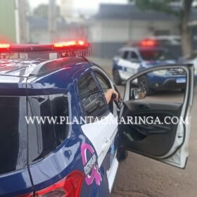 Câmera registra criminoso com carro roubado fugindo da Guarda Civil Municipal de Sarandi Foto 5 Fotos de Câmera registra criminoso com carro roubado fugindo da Guarda Civil Municipal de Sarandi