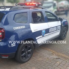 Dois carros roubados foram apreendidos e quatro homens presos pela Guarda Civil Municipal de Sarandi Foto 9 Fotos de Dois carros roubados foram apreendidos e quatro homens presos pela Guarda Civil Municipal de Sarandi