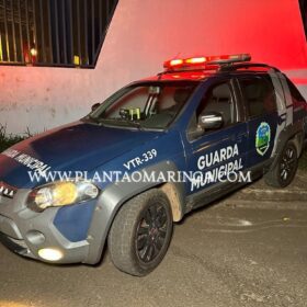 Guarda Civil Municipal prende dupla armada e evita homicídio em Sarandi Foto 9 Fotos de Guarda Civil Municipal prende dupla armada e evita homicídio em Sarandi
