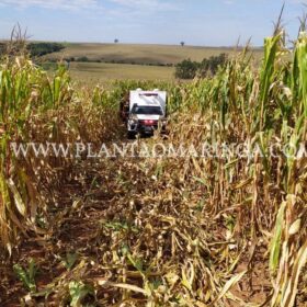 Fotos de Homem é encontrado morto com marcas de tiros dentro de carro na zona rural